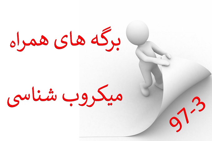 شرکت پیشگام ایرانیان