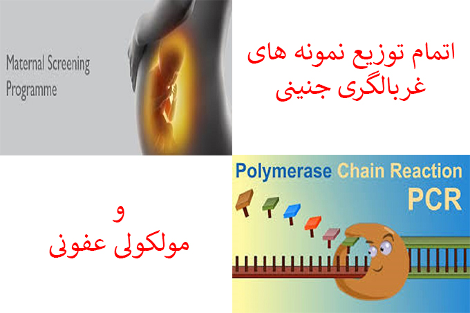 شرکت پیشگام ایرانیان